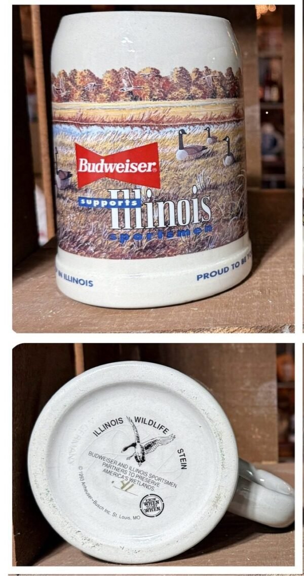 1993 Illinois Sportsman Mug